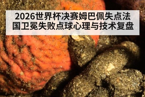 2026世界杯决赛姆巴佩失点法国卫冕失败点球心理与技术复盘