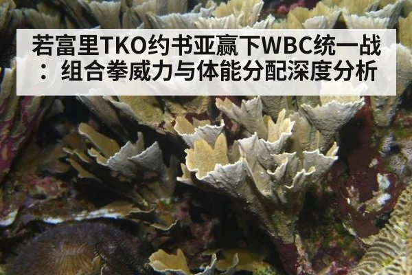 若富里TKO约书亚赢下WBC统一战：组合拳威力与体能分配深度分析