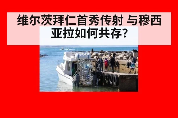 维尔茨拜仁首秀传射 与穆西亚拉如何共存？