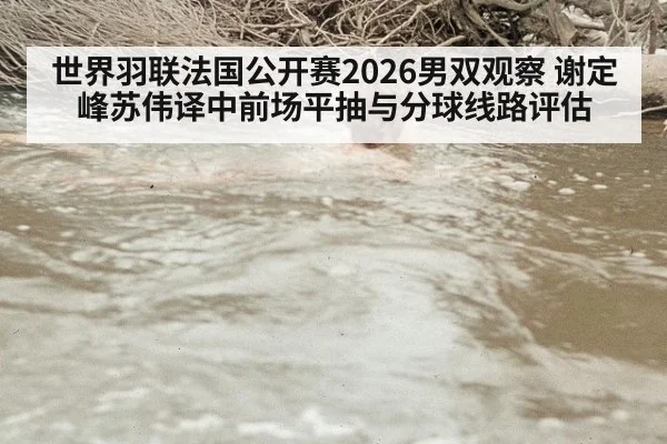 世界羽联法国公开赛2026男双观察 谢定峰苏伟译中前场平抽与分球线路评估